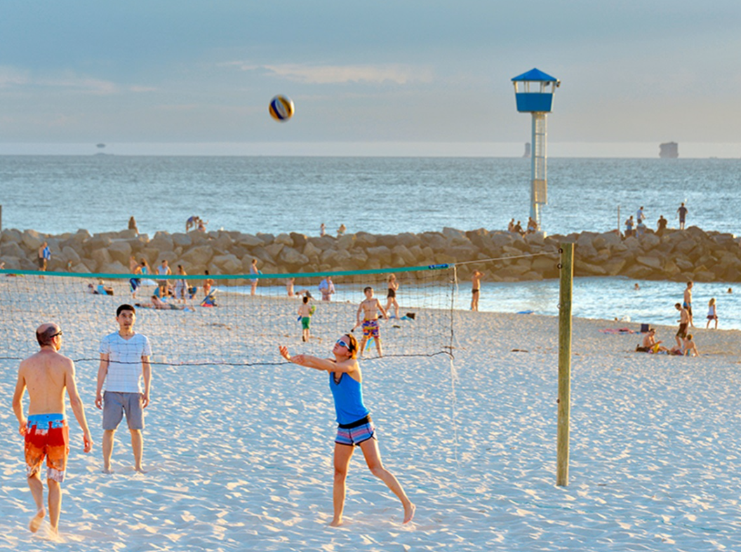 Social Volleyball